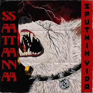 Single Sputnik Vida Cover